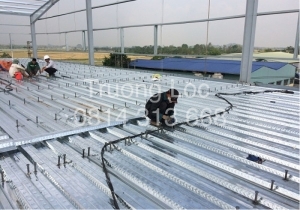 Các loại sàn deck phổ biến hiện nay và cách chọn đúng loại cho công trình